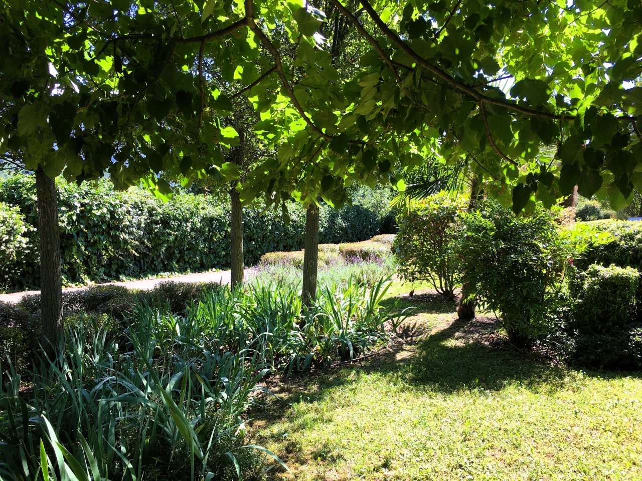Immobiliari nel monferrato - Piedmont Houses